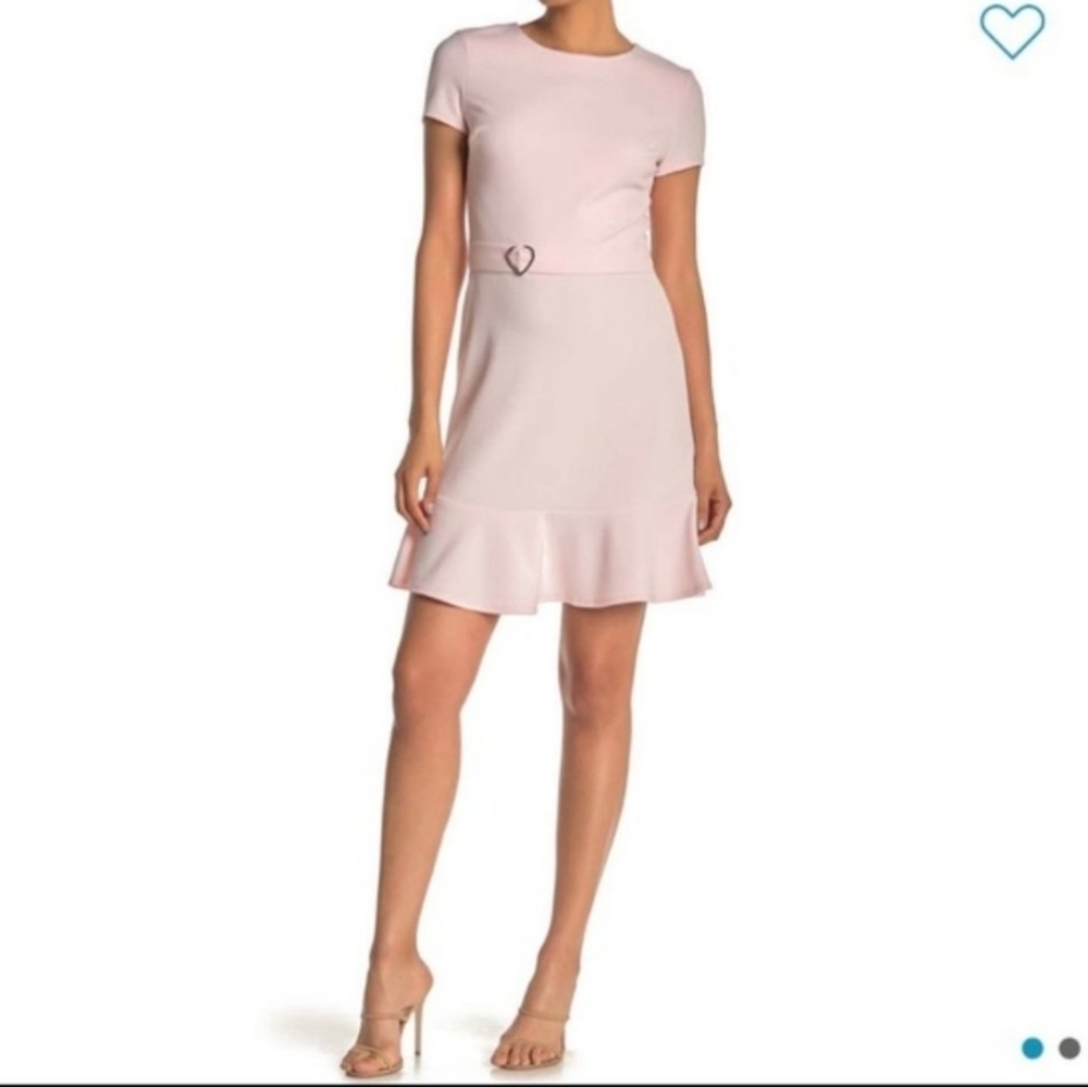 NWT Bestey Johnson mini dress in soft pink